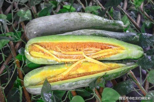 网红蔡二哥吃瓜,揭秘网红圈幕后故事 第2张 网红蔡二哥吃瓜,揭秘网红圈幕后故事 第2张